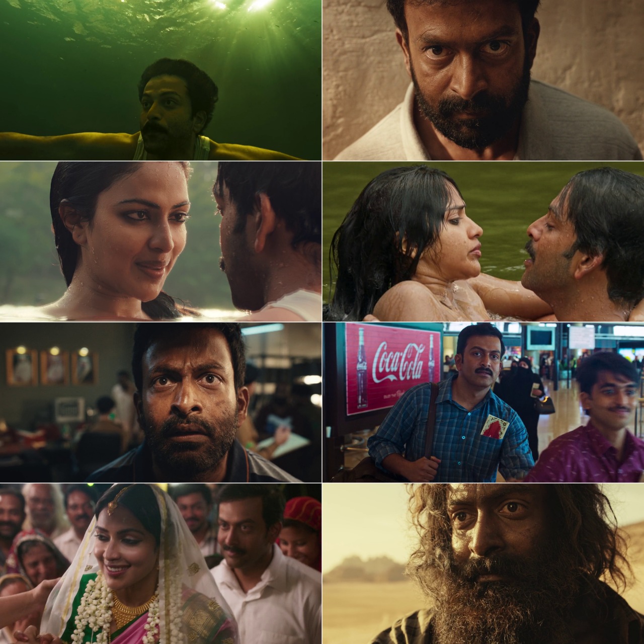 Aadujeevitham - The Goat Life (2024) (Hindi + Malayalam) Dual Audio UnCut Movie HD ESub screenshot