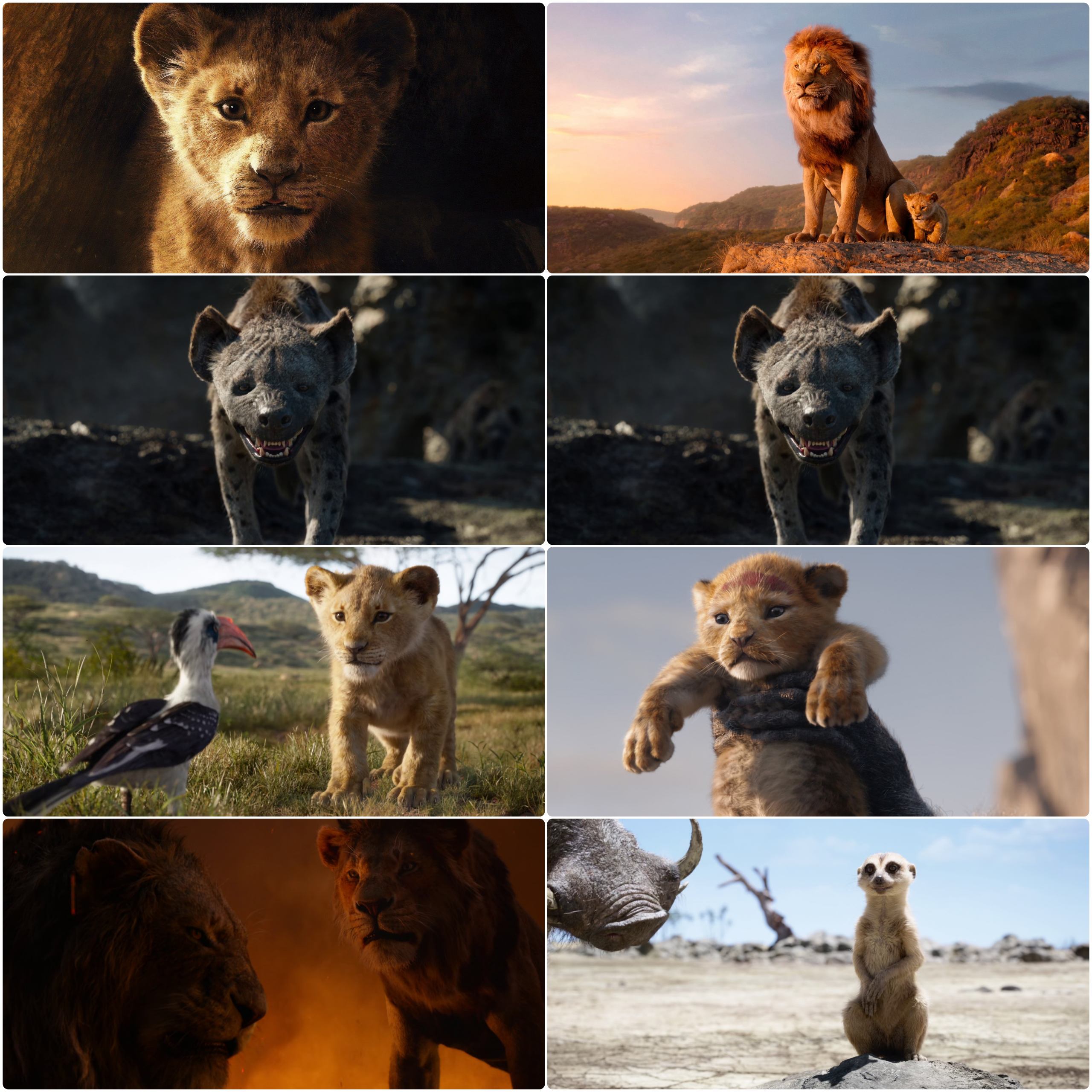 The Lion King (2019) (Hindi + English) Dual Audio Movie BluRay HD ESub screenshot